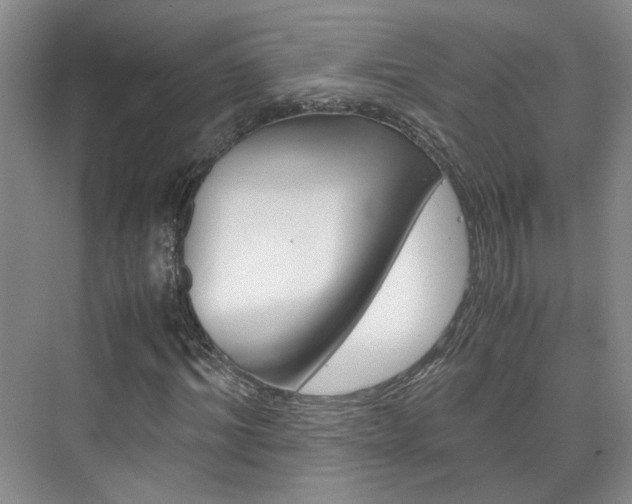 X0000075840964200609150908