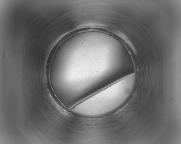 X0000075840972200609150907