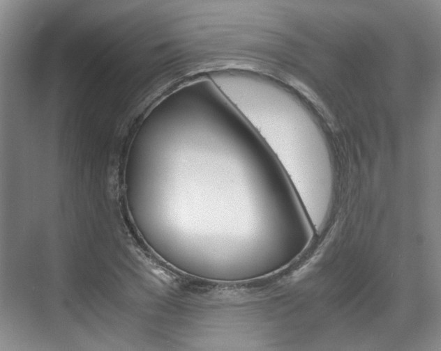 X0000075840977200609150907