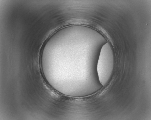 X0000075840986200609150907