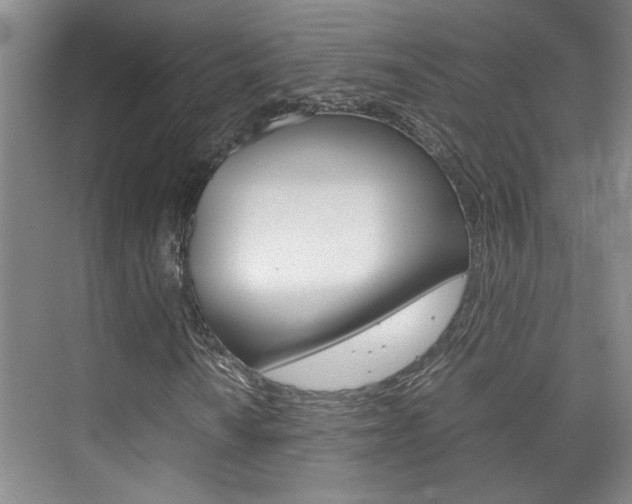 X0000075841010200609150906