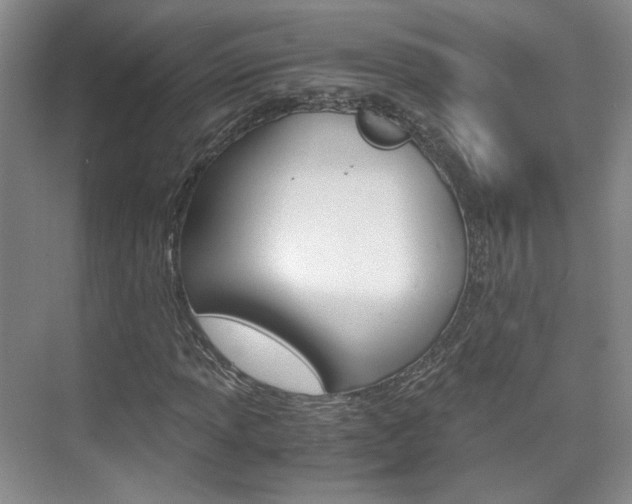 X0000075841013200609150906