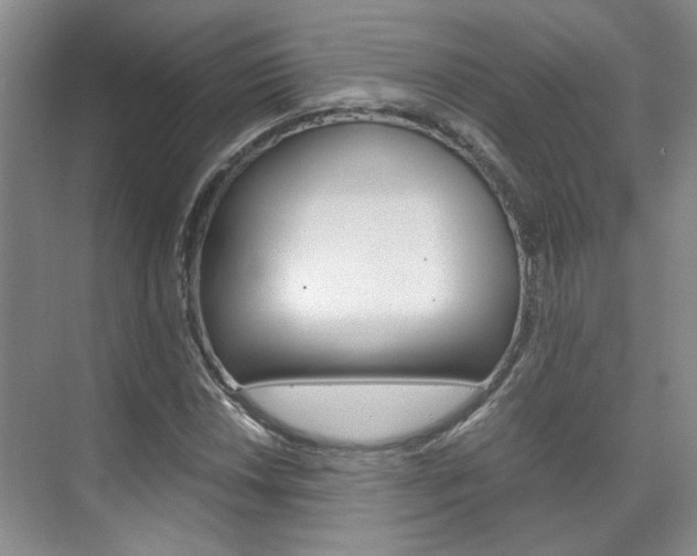 X0000075841018200609150906