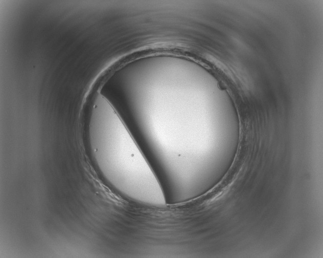 X0000075841021200609150906