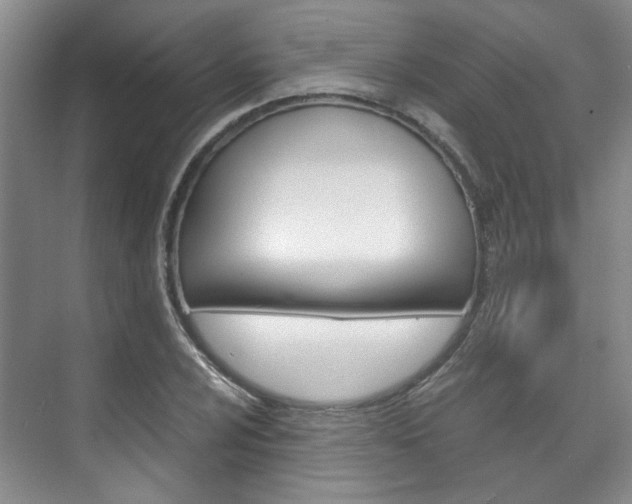 X0000075841024200609150906