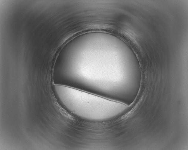 X0000075841025200609150906