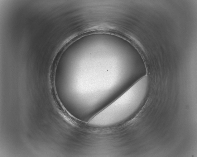 X0000075841026200609150906