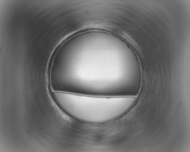 X0000075841028200609150906