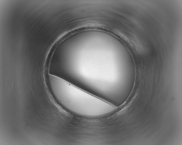X0000075841029200609150906