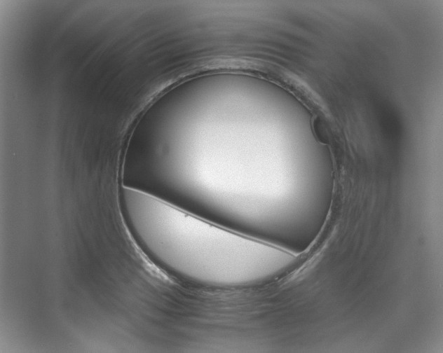 X0000075841033200609150906
