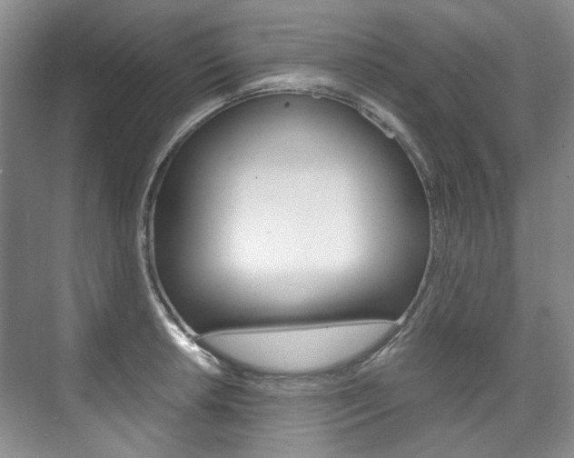 X0000075841042200609150907