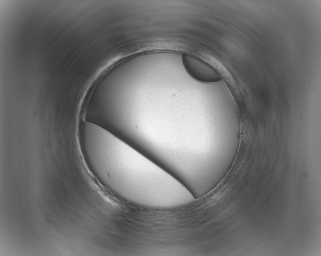 X0000075841043200609150907