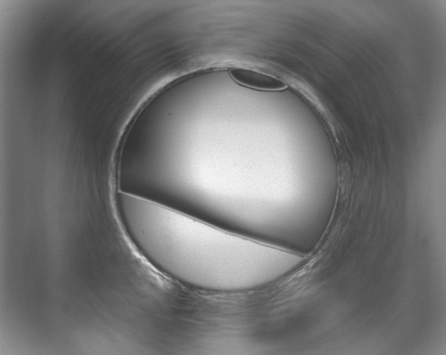 X0000075841048200609150907