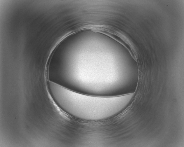 X0000075841050200609150907