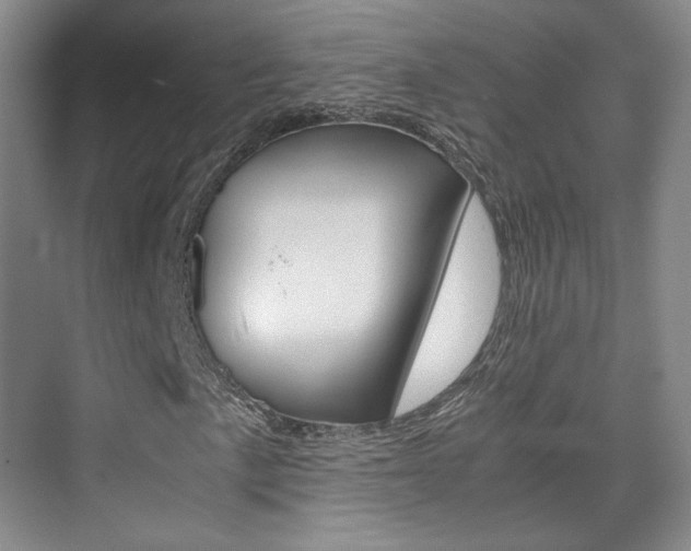 X0000075841057200609150906