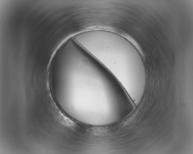 X0000075841102200609150905