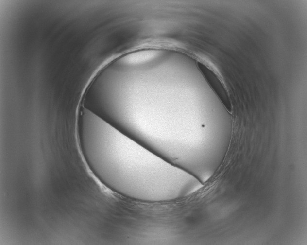X0000075841103200609150905