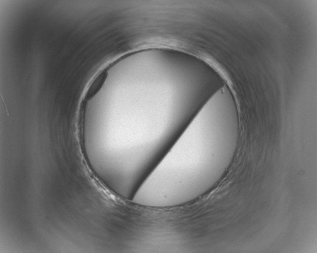 X0000075841104200609150905