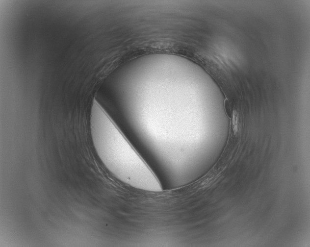 X0000075841107200609150904
