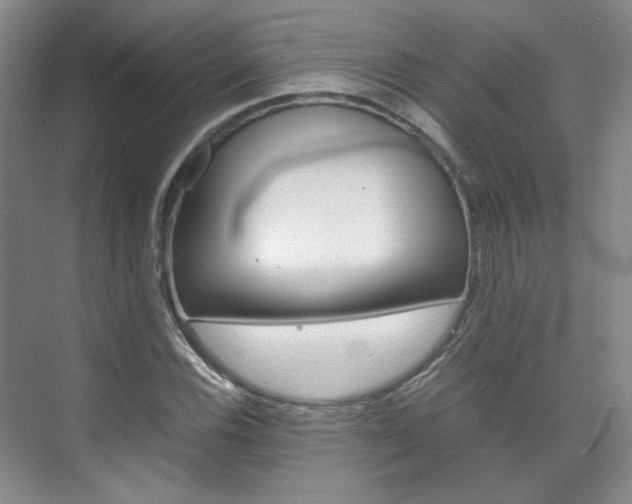 X0000075841116200609150905