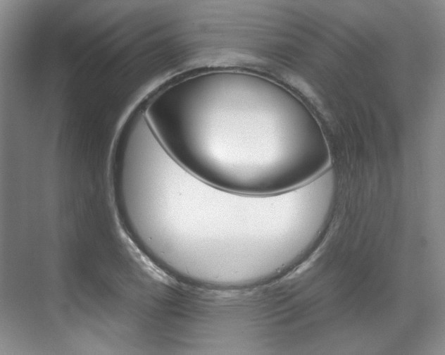 X0000075841122200609150905