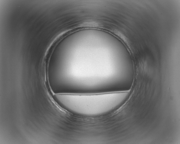 X0000075841123200609150905