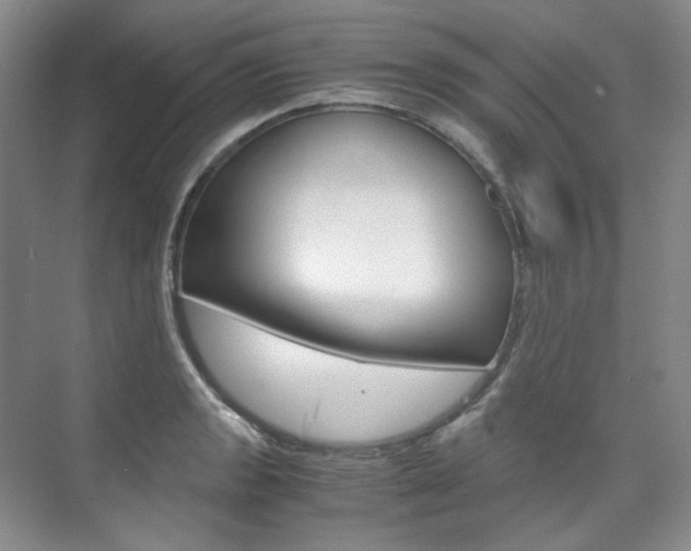 X0000075841133200609150905