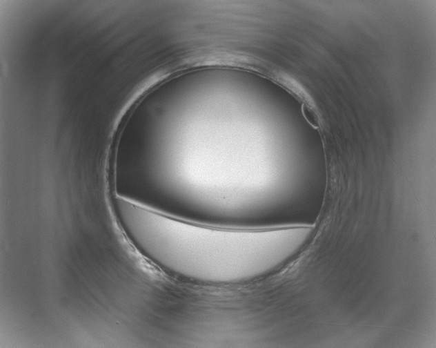 X0000075841138200609150905