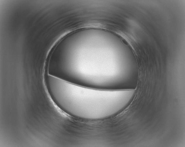X0000075841139200609150905