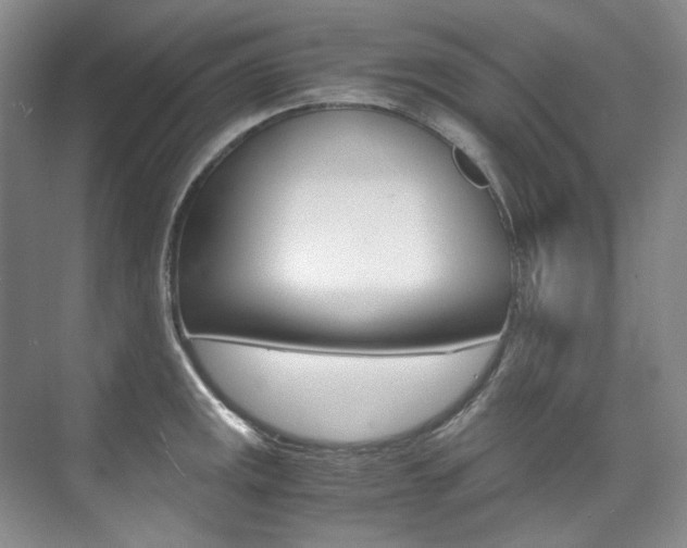 X0000075841141200609150905