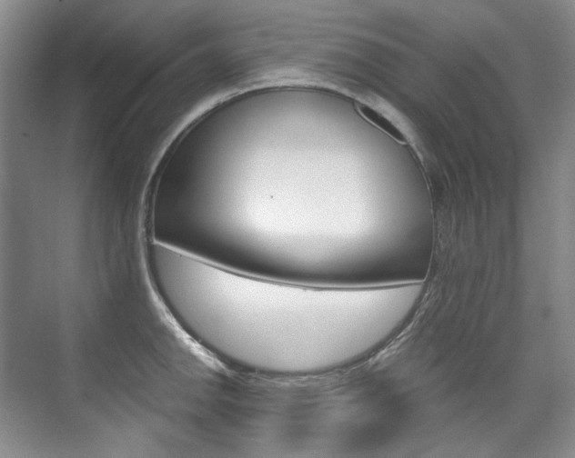 X0000075841142200609150905