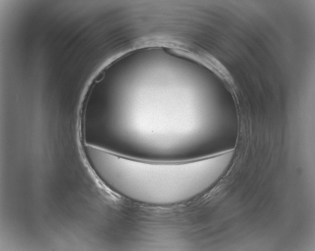 X0000075841144200609150905