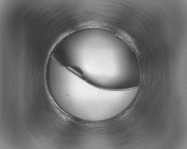 X0000075841146200609150905