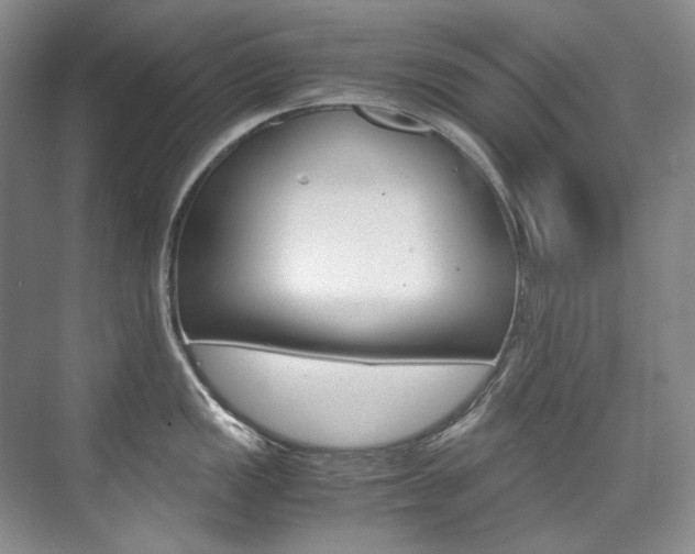 X0000075841149200609150905