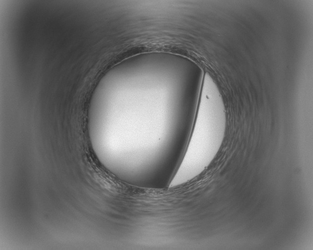X0000075841153200609150904