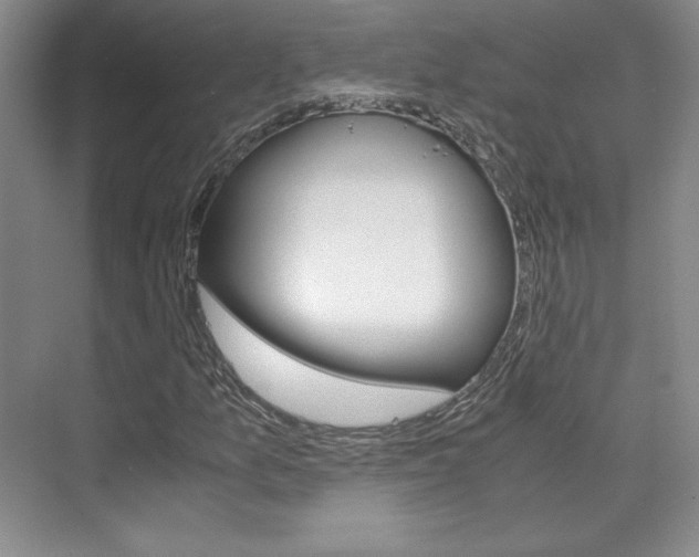 X0000075841157200609150904