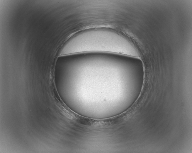 X0000075841169200609150904