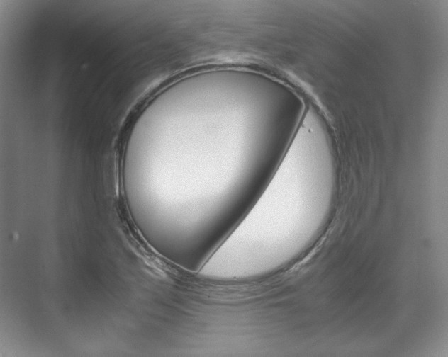 X0000075841171200609150904