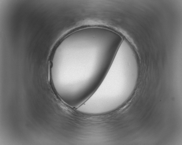X0000075841175200609150904