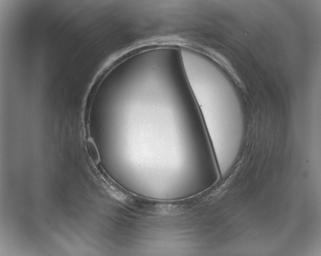 X0000075841176200609150904