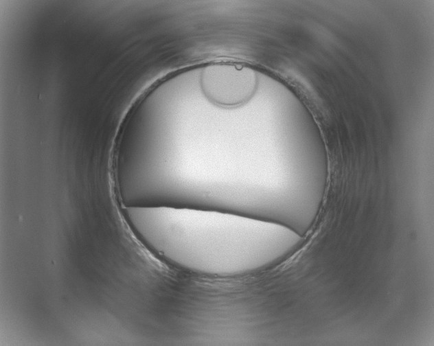 X0000075841182200609150904