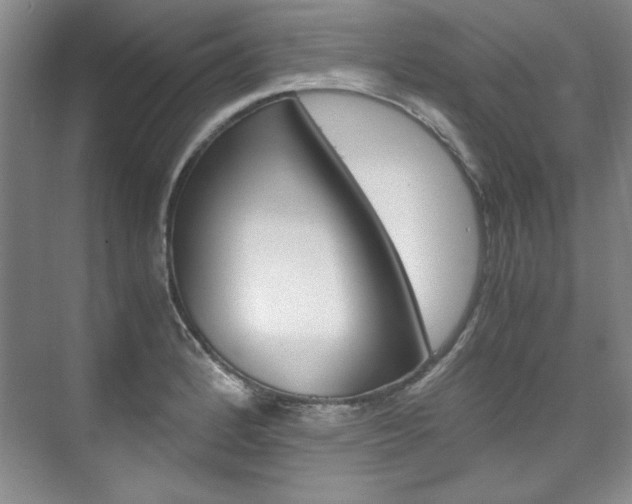 X0000075841184200609150904