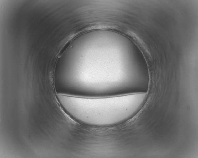 X0000075841185200609150904