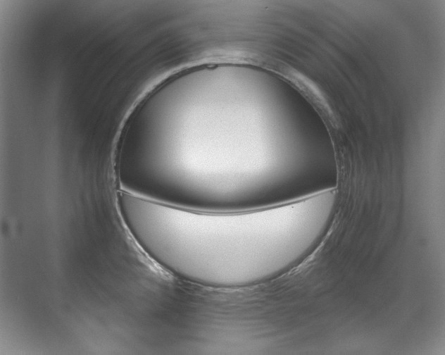 X0000075841192200609150904