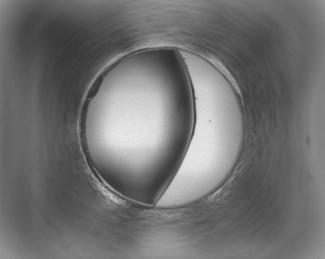 X0000075841197200609150904