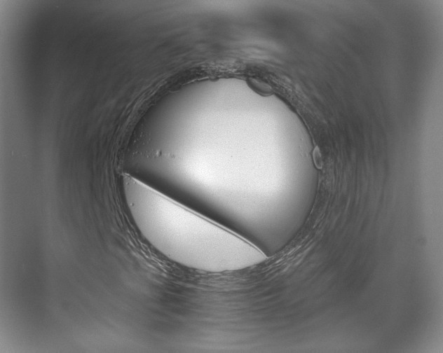 X0000075841201200609150903