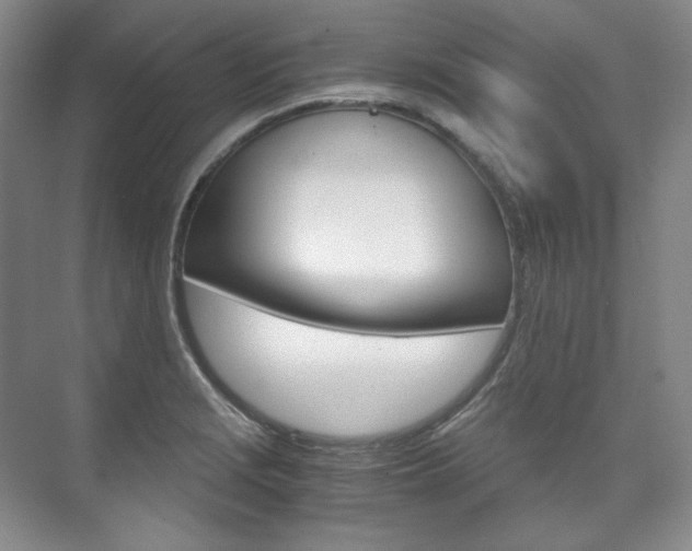 X0000075841229200609150903