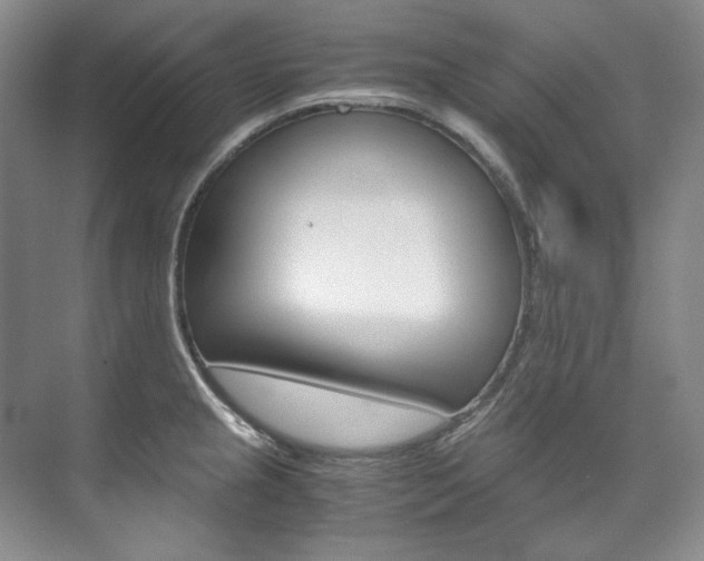 X0000075841237200609150903
