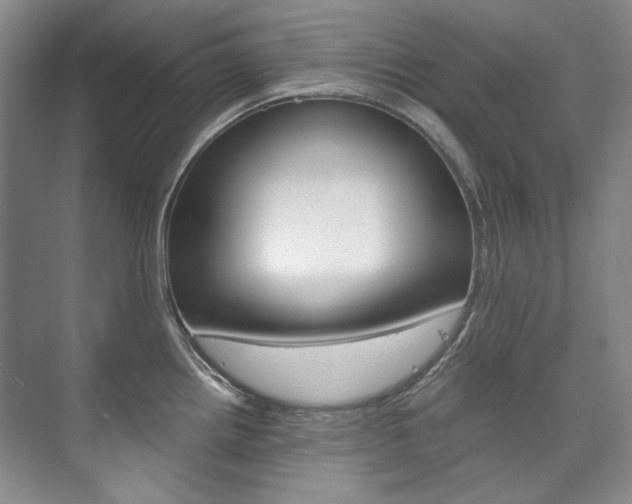 X0000075841242200609150903