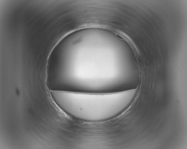 X0000075841244200609150903